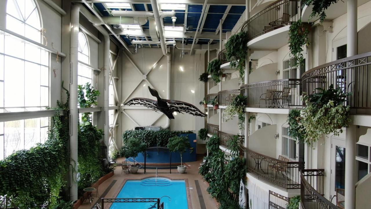 Hotel L'Oie Des Neiges Lévis Εξωτερικό φωτογραφία