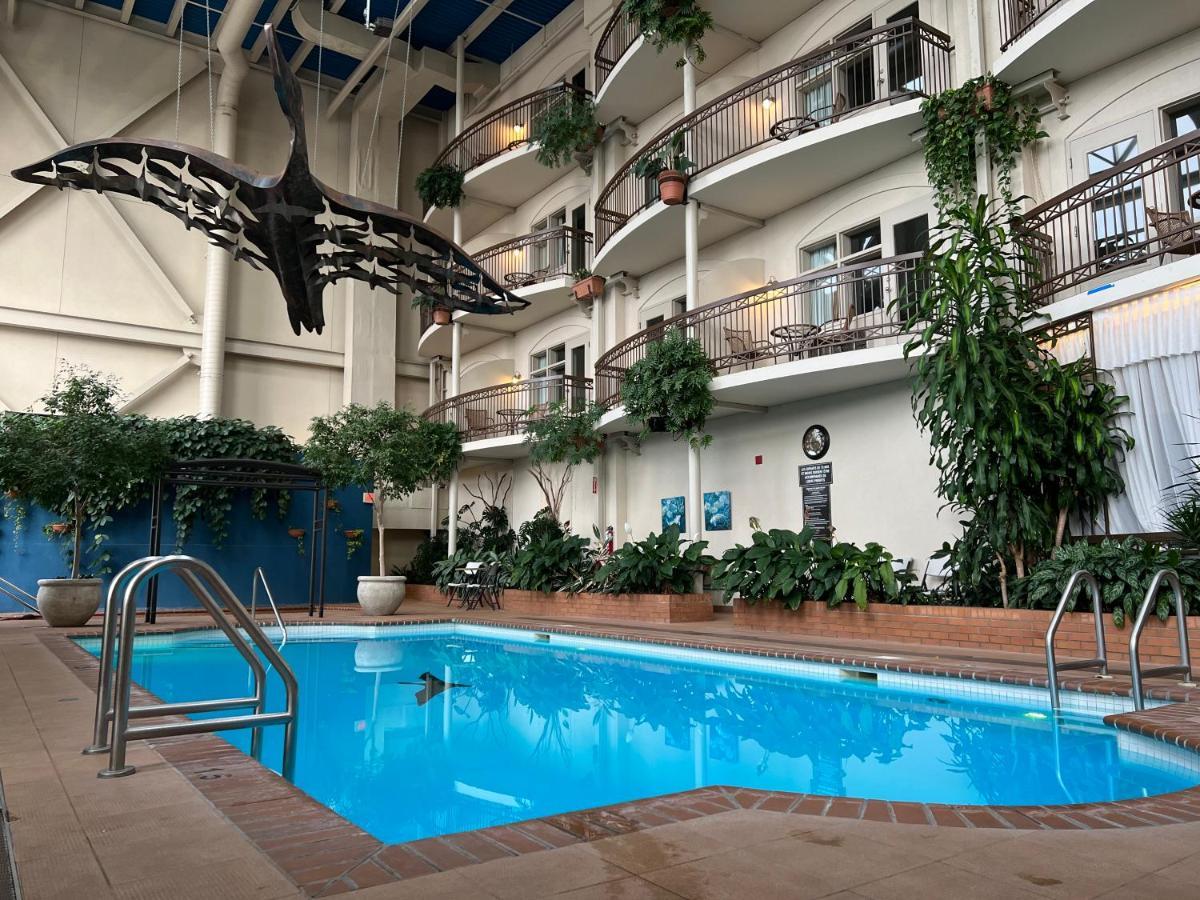Hotel L'Oie Des Neiges Lévis Εξωτερικό φωτογραφία