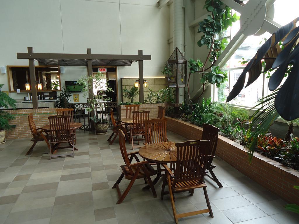 Hotel L'Oie Des Neiges Lévis Εξωτερικό φωτογραφία