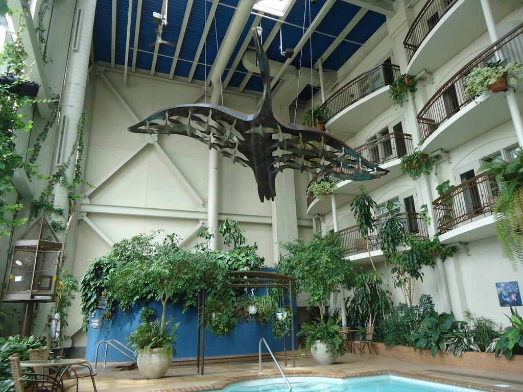 Hotel L'Oie Des Neiges Lévis Εξωτερικό φωτογραφία